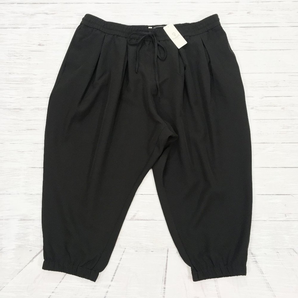 Dubgee by Whoopi ~ Tencel Drawstrings Pockets Joggers